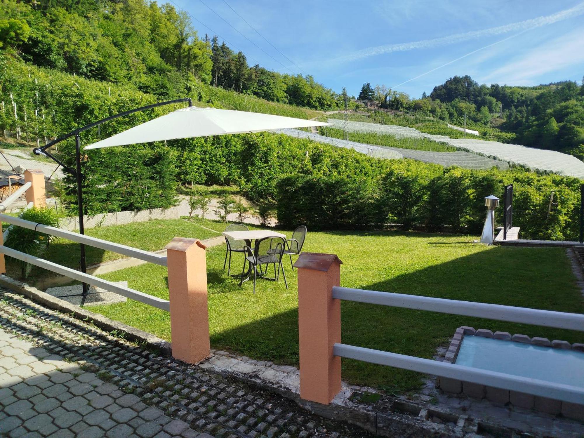 Agritur Casa Al Mulino Appartamenti Sanzeno Exteriör bild